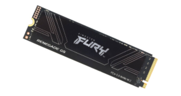 Kingston Fury Renegade G5 8TB SSD