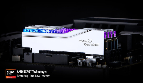 GSkill Trident Z5 Royal Neox Series DDR5